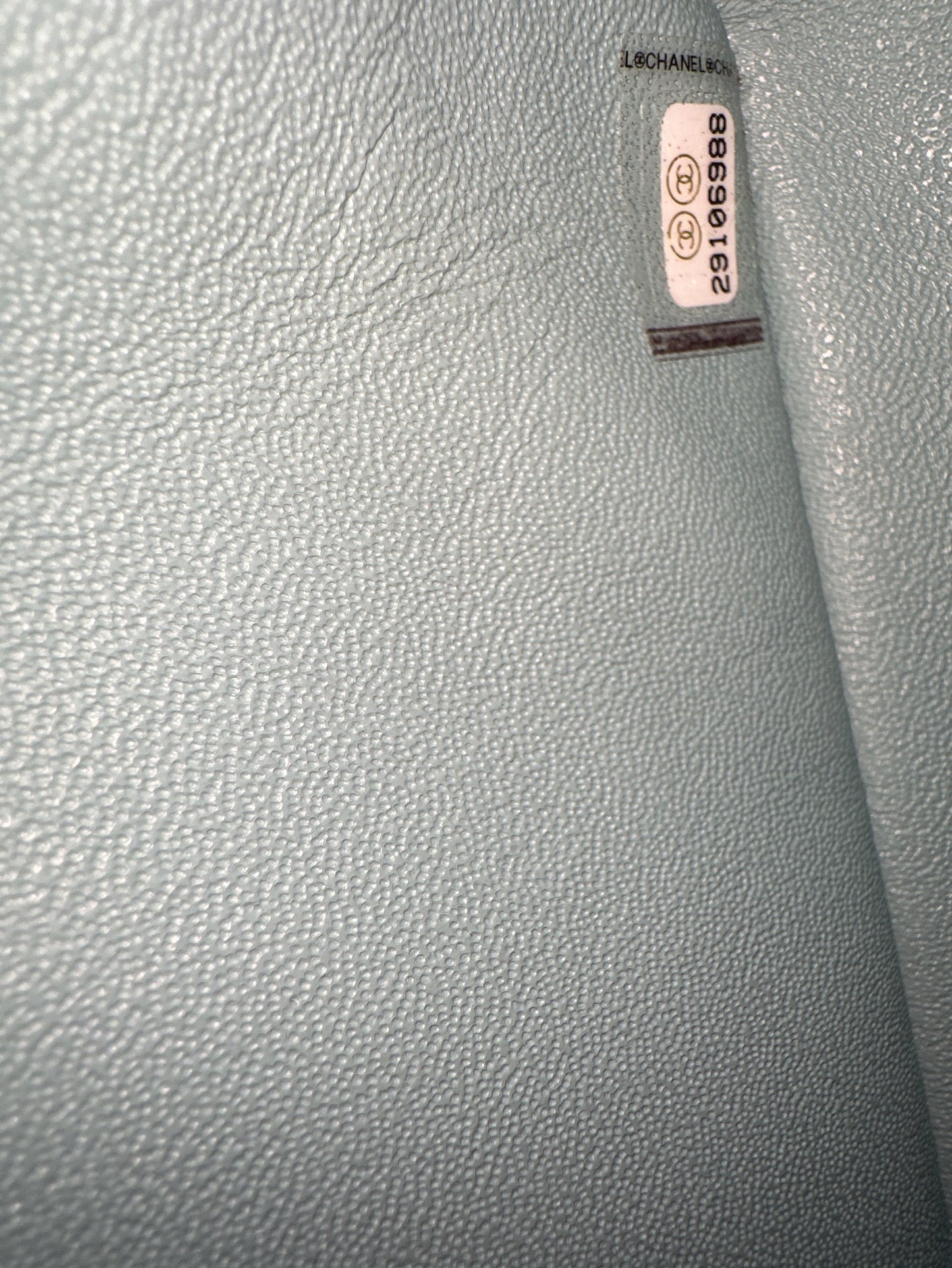 Classic Chanel Classic Flap Bag